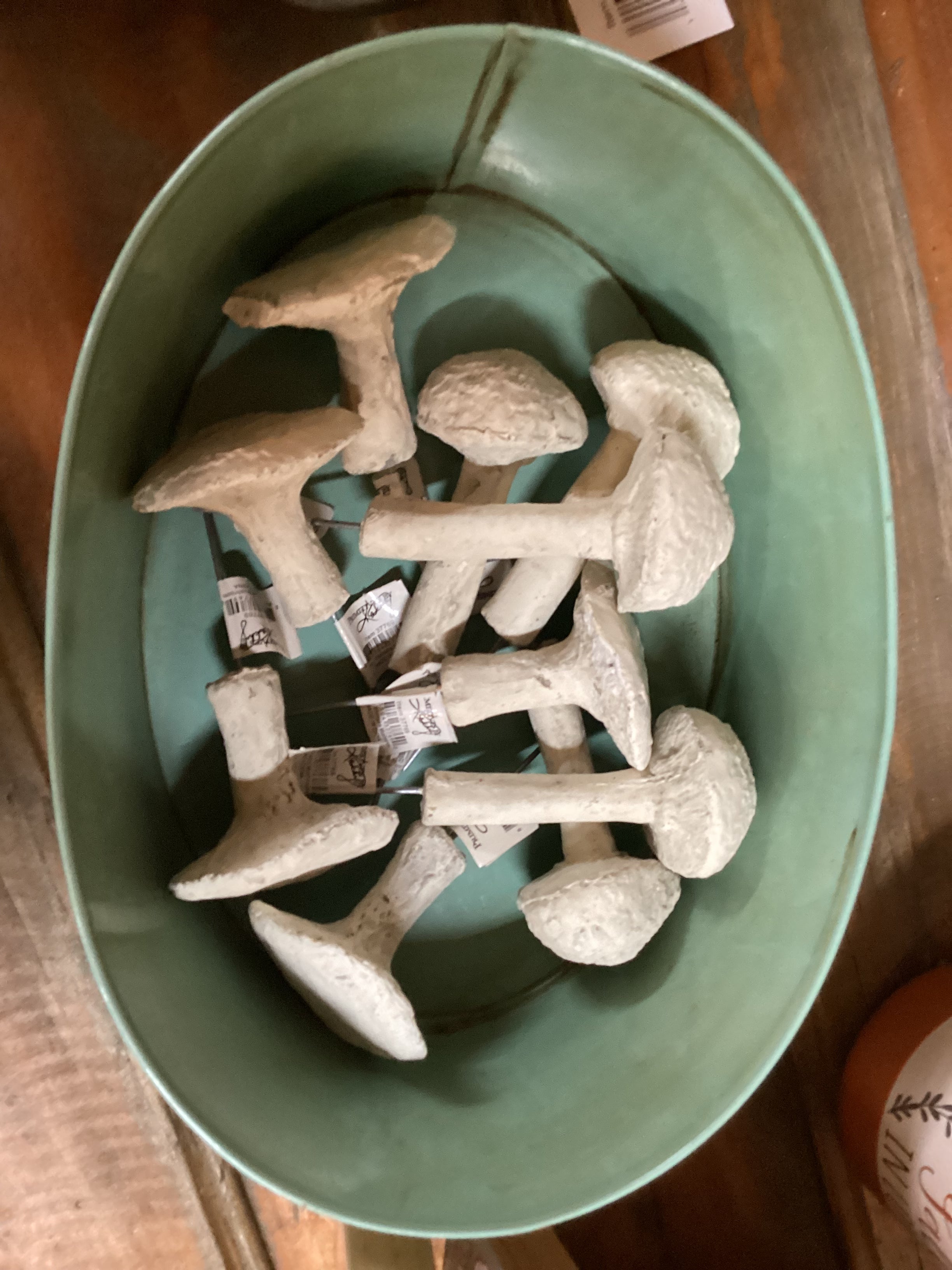Pick- Shiitake Mushroom