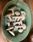 Pick- Shiitake Mushroom