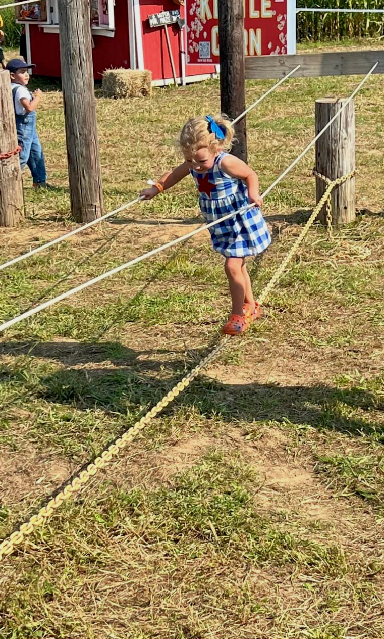 Farm Yard Activities – Maryland Corn Maze